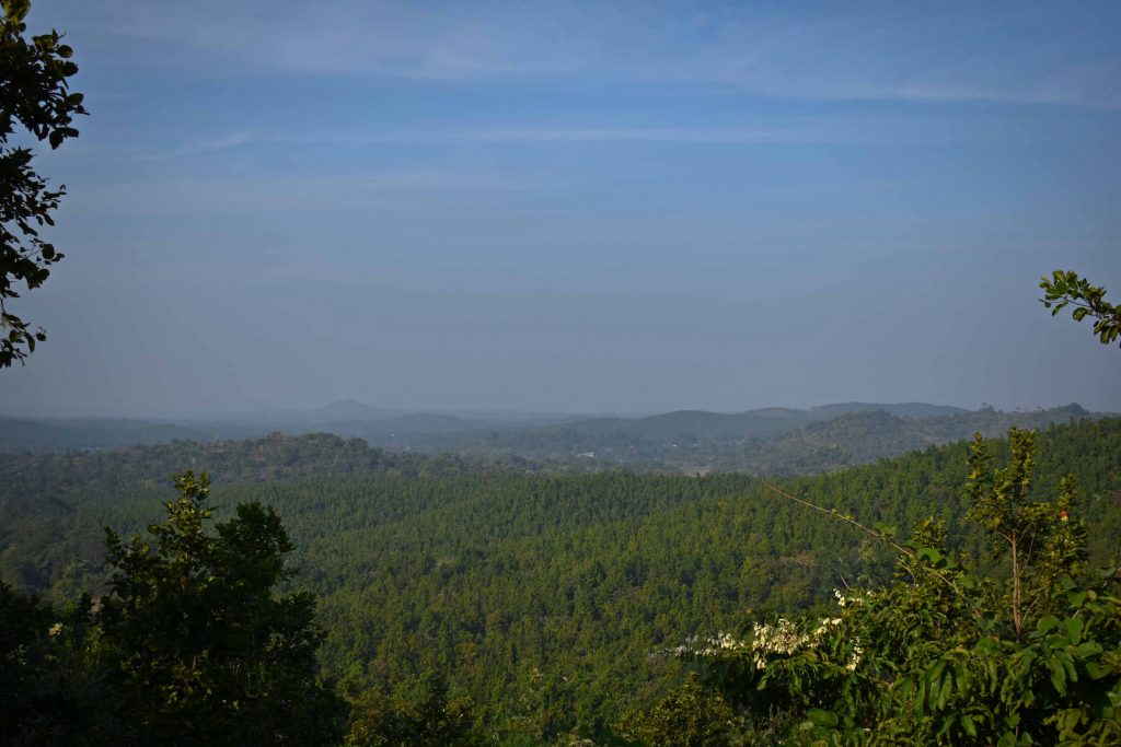 Jhilimili-Baro Mile Forest