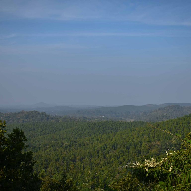 Jhilimili-Baro Mile Forest